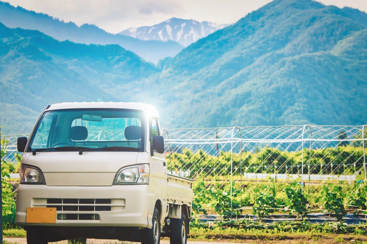 農業分野での特定技能外国人の受入れについて解説します。